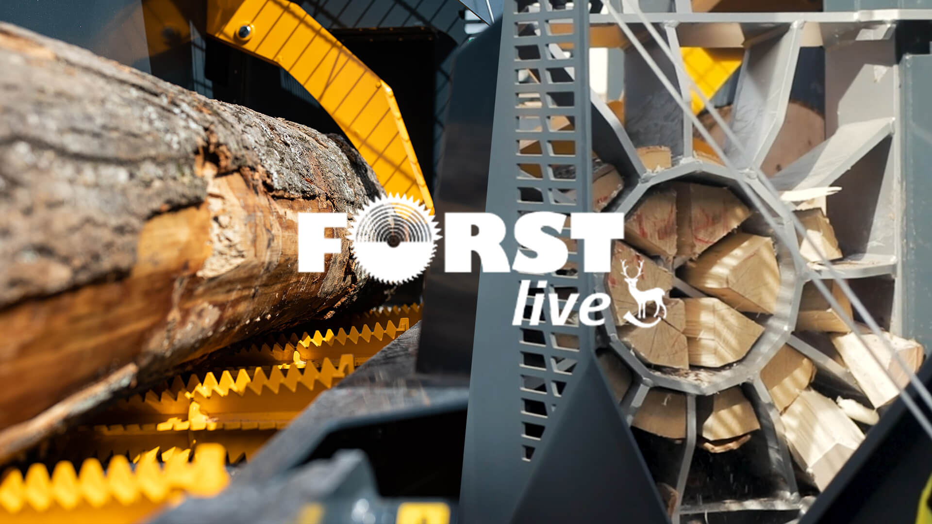 Video: Uniforest bei FORST Live 2024